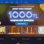 BayMavi casino giriş adresi